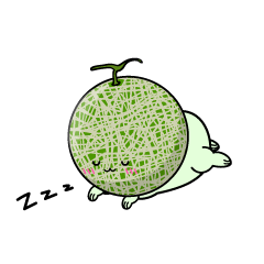 眠る小ちゃなマスクメロン