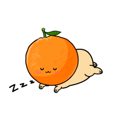 眠る小ちゃなオレンジ