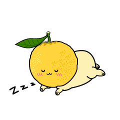 眠る小ちゃな柚子