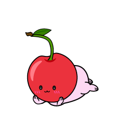 じっと見る小ちゃなさくらんぼ