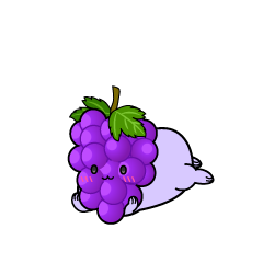 じっと見る小ちゃな葡萄（ぶどう）