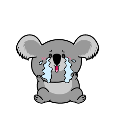 大泣きする小ちゃなコアラ