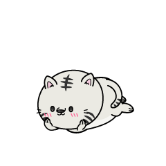 じっと見る小ちゃなホワイトタイガー