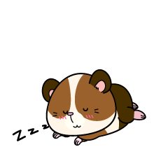 眠る小ちゃなモルモット