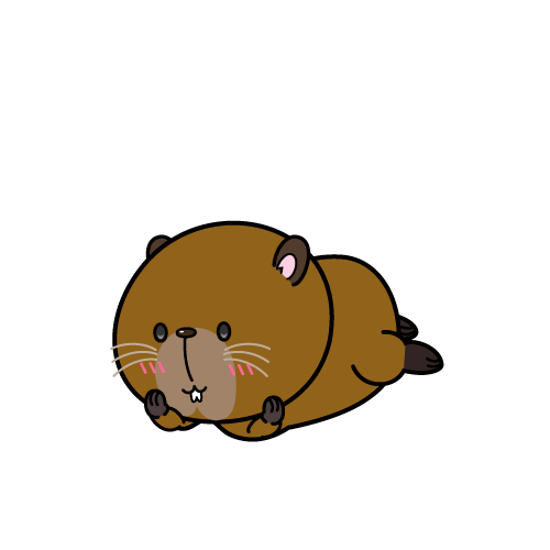 じっと見る小ちゃなカピバラ