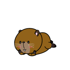 じっと見る小ちゃなカピバラ