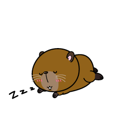 眠る小ちゃなカピバラ