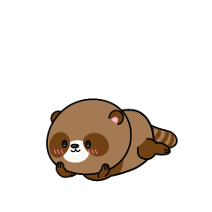 じっと見る小ちゃなタヌキ