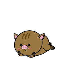 じっと見る小ちゃなイノシシ