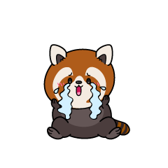 大泣きする小ちゃなレッサーパンダ