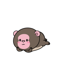 じっと見る小ちゃなニホンザル