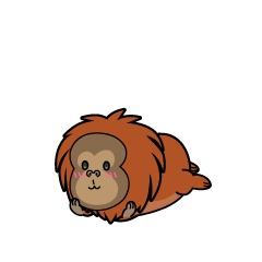 じっと見る小ちゃなオラウータン