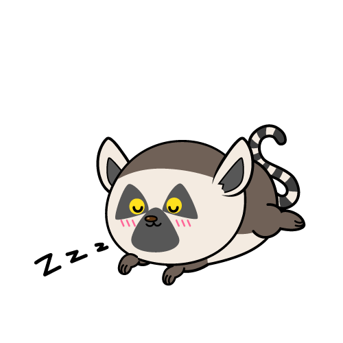 眠る小ちゃなワオキツネザル
