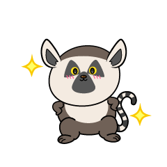 自信満々な小ちゃなワオキツネザル