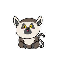 笑う小ちゃなワオキツネザル