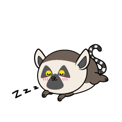 眠る小ちゃなワオキツネザル