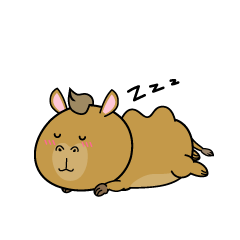 眠る小ちゃなラクダ