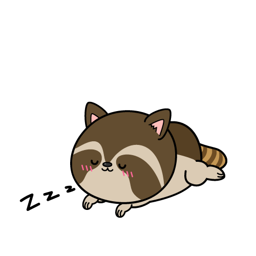 眠る小ちゃなアライグマ