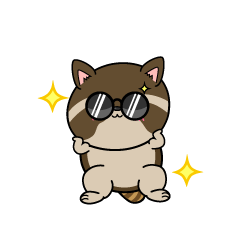 かっこいい小ちゃなアライグマ