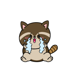 大泣きする小ちゃなアライグマ