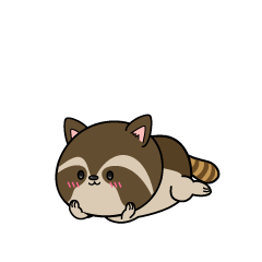 じっと見る小ちゃなアライグマ