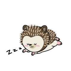 眠る小ちゃなハリネズミ