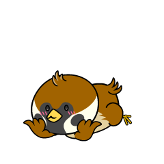 じっと見る小ちゃなスズメ