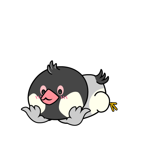 じっと見る小ちゃな文鳥