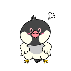 怒る小ちゃな文鳥