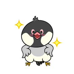 自信満々な小ちゃな文鳥