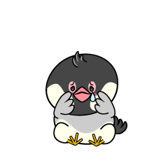 悲しい小ちゃな文鳥