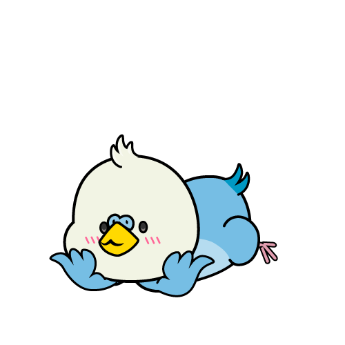 じっと見る小ちゃなインコ