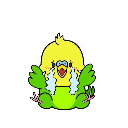 大泣きする小ちゃなセキセイインコ