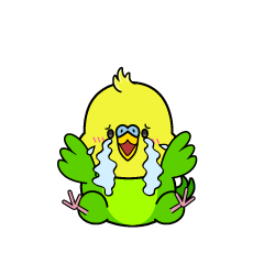 大泣きする小ちゃなセキセイインコ