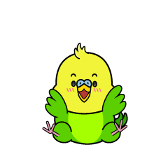 驚く小ちゃなセキセイインコ