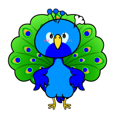 怒る小ちゃなクジャク