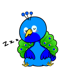 眠る小ちゃなクジャク