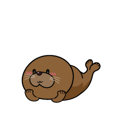 じっと見る小ちゃなアザラシ