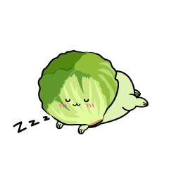 眠る小ちゃなレタス