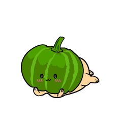 じっと見る小ちゃなカボチャ