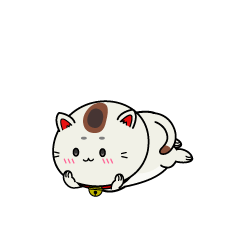 じっと見る小ちゃな招き猫