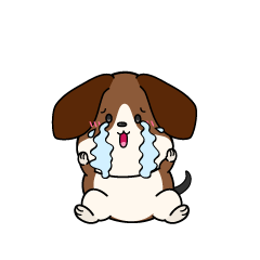 大泣きする小ちゃなビーグル犬