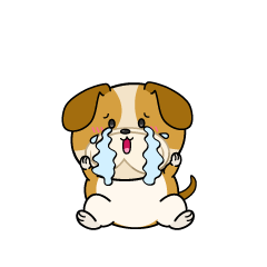 大泣きする小ちゃなブルドッグ犬