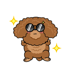 かっこいい小ちゃな茶色のトイプードル