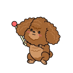 説明する小ちゃな茶色のトイプードル