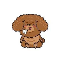 リラックスする小ちゃな茶色のトイプードル