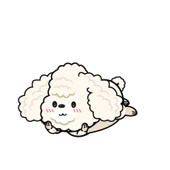 じっと見る小ちゃな白いトイプードル