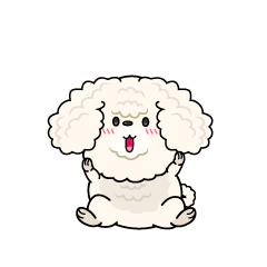 驚く小ちゃな白いトイプードル