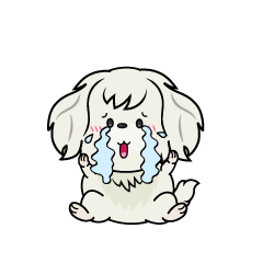 大泣きする小ちゃな白いマルチーズ
