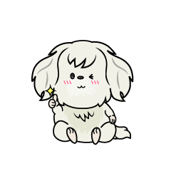 いいねする小ちゃな白いマルチーズ